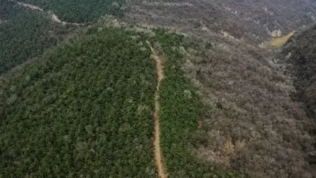 Археологи обнаружили древнюю магистраль империи Цинь 