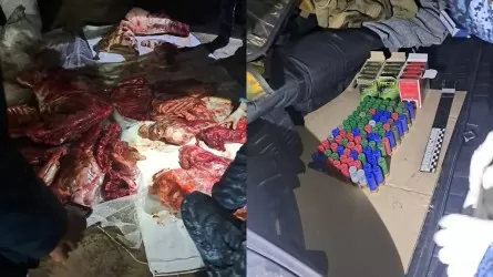 Павлодар облысында аңшылықпен заңсыз айналысқандар ұсталды 