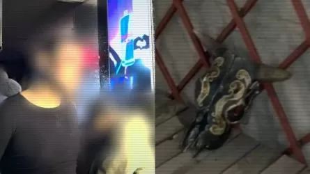 ОПМ &ldquo;STOP-трафик&rdquo;: выявлены тяжкие преступления, связанные с торговлей людьми 