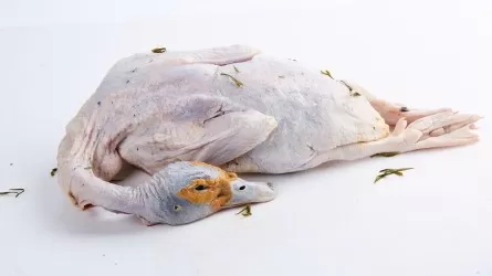 На границе Казахстана пресекли контрабанду мяса и икры 