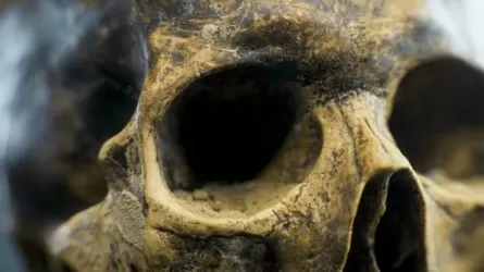 Стала известна причина вымирания загадочных жителей Индонезии 