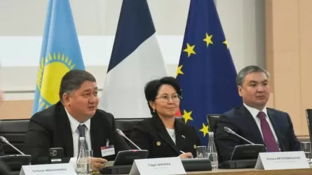 Қазақстан Airbus компаниясынан 50 жаңа ұшақ алады