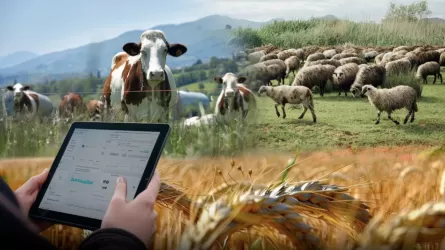 Ауыл шаруашылығындағы жалпы өнім көлемі 6,1%-ға артты