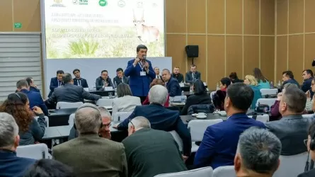 Қазақстан киік мүйізін экспорттайтын болды