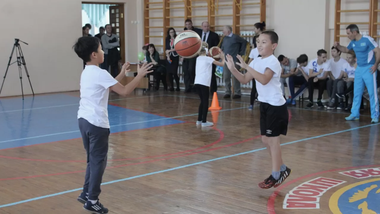 Балалар спорт мектептері жан басына шаққан қаржыландыру стандартына көшеді