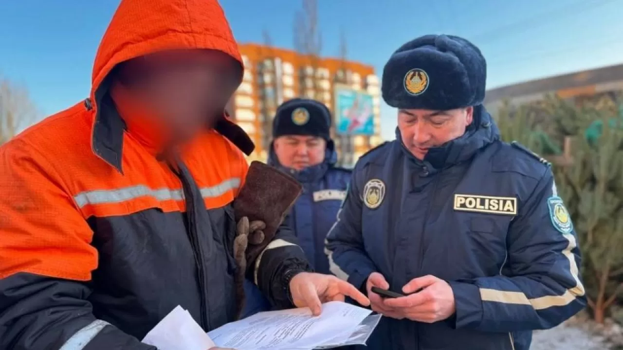 Полиция усилила защиту хвойных деревьев в Павлодаре 