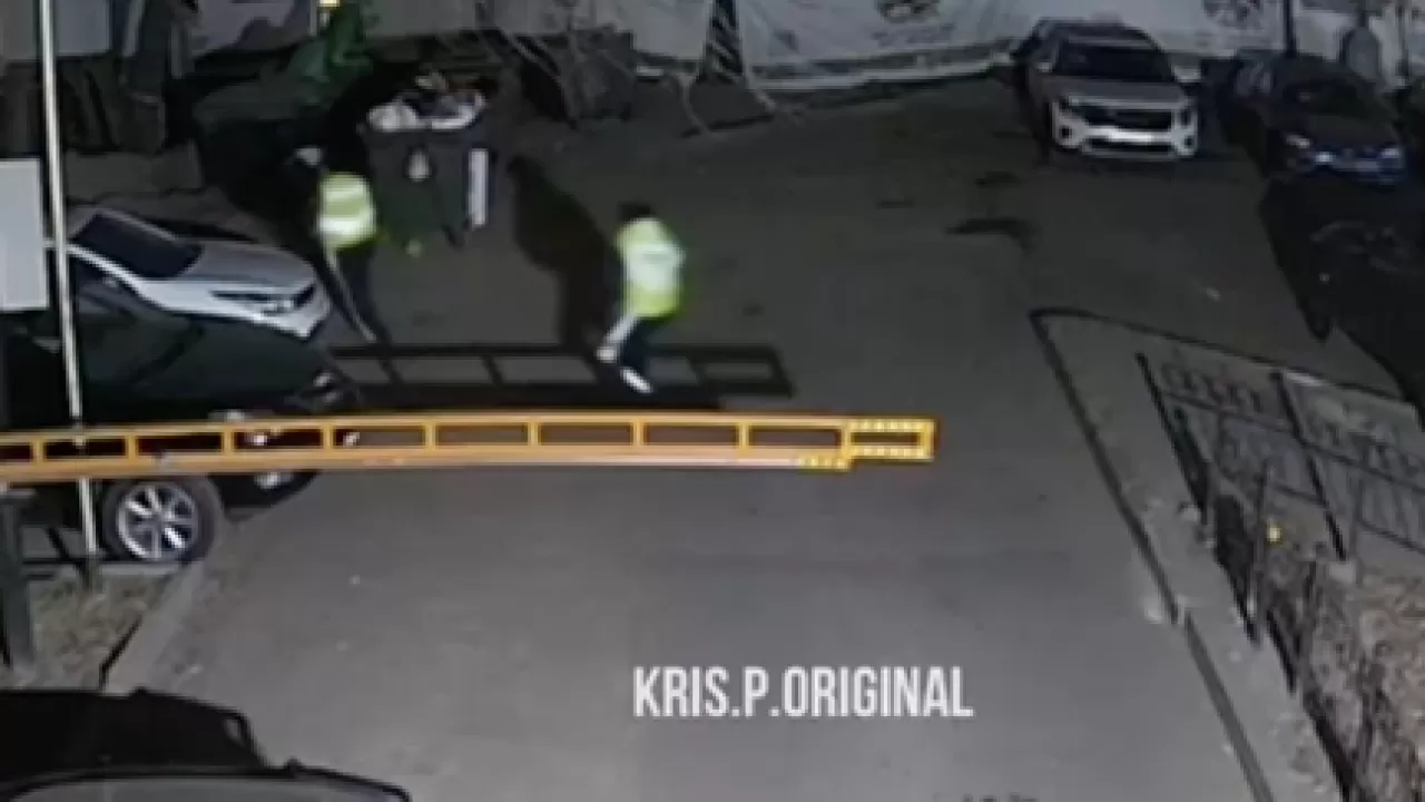 Алматыда жаппай төбелес болды 