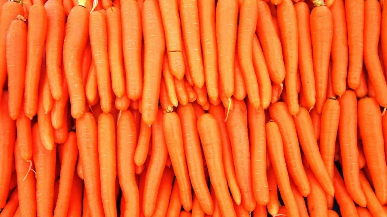 Вывоз этого овоща из Казахстана предлагают запретить 