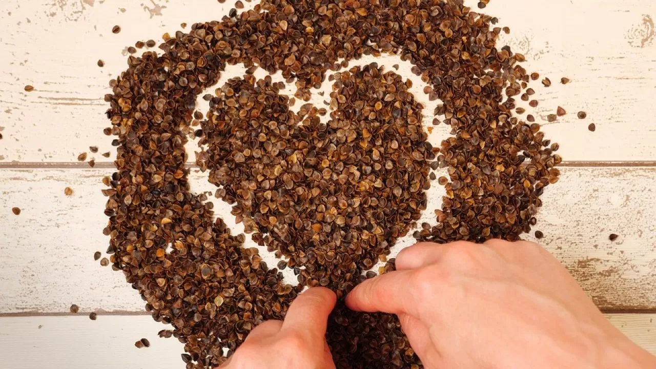 Гречка по 500 тенге: комитет торговли проверил цены в Астане 