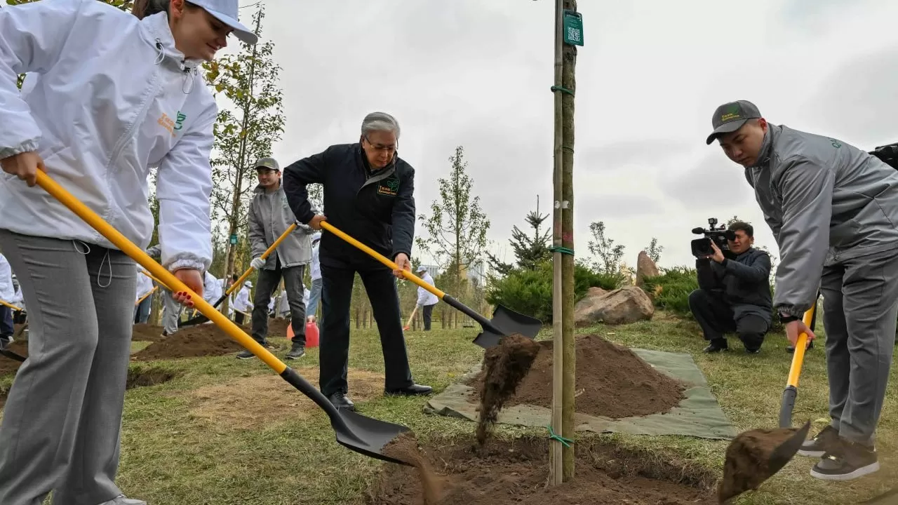 Биыл елімізде 335,6 миллион ағаш егілді