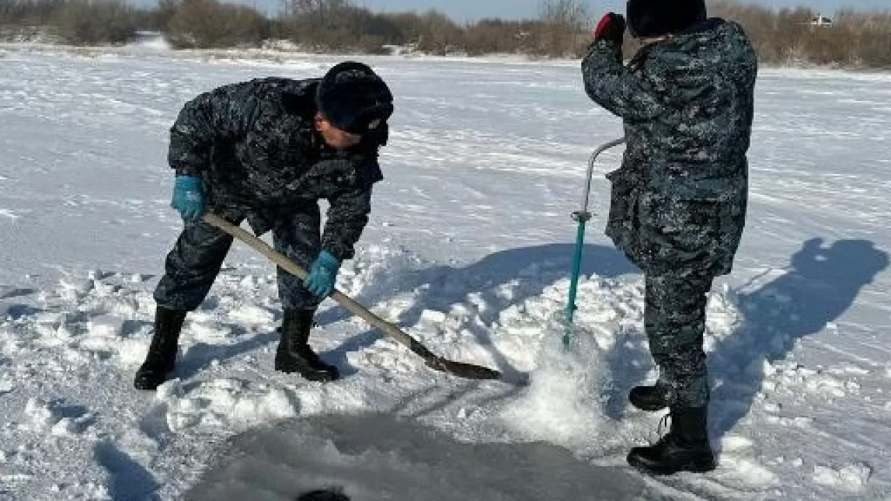 Рыбу от замора спасают в Акмолинской области 