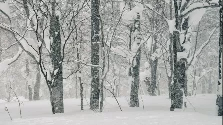 О нулевой видимости сообщили казахстанцам 