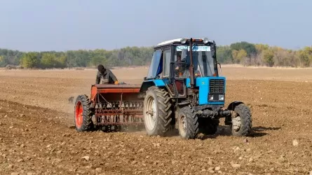 В долговой яме: кому и за что должны более 2 млрд тенге костанайские аграрии