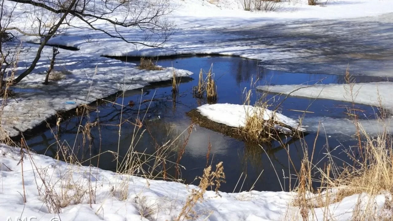 Паводки в Казахстане: что происходит на водохранилищах 