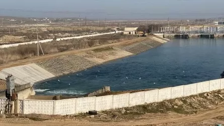 Сырдария өзені арқылы Шардара су қоймасына 16 млрд текше метр су келеді