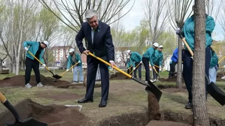 Токаев посадил дерево в парке "Жастар" 