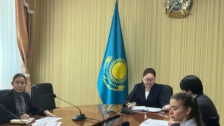 Астанада ақпаратқа қол жеткізу мәселелері жөніндегі комиссияның кезекті отырысы өтті 