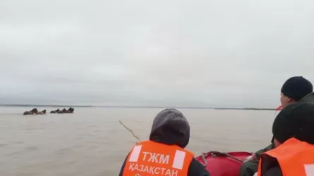 Ақмола облысында судың ортасында қалған жылқылар құтқарылды
