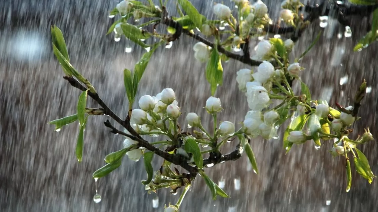 Еліміздің барлық өңірінде 27 мамырда дауылды ескерту жарияланды