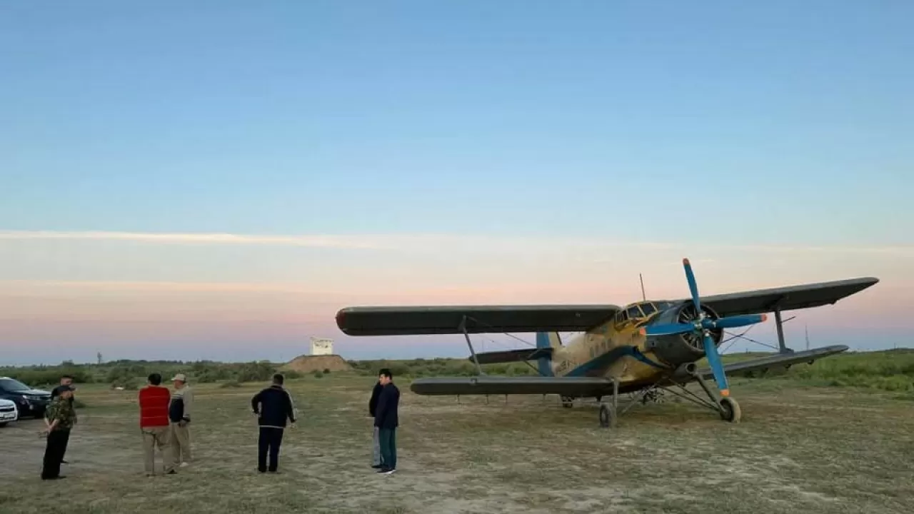 880 мың гектарға жуық егіс алқабын шегіртке жайлады 