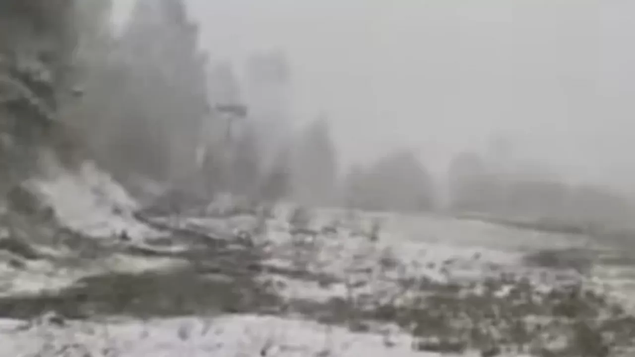 Риддерде қар жауды