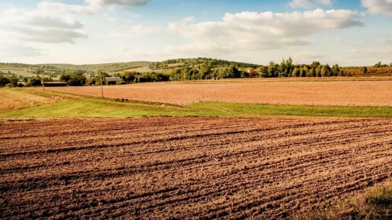 1200 гектар жер мемлекетке қайтарылды