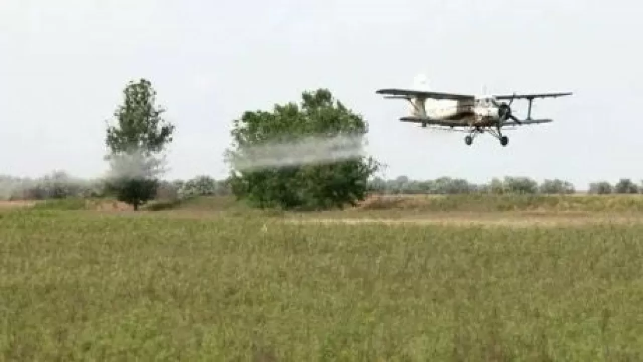 Қазақстанда шегірткемен күресу үшін 7,1 млрд теңге бөлінген