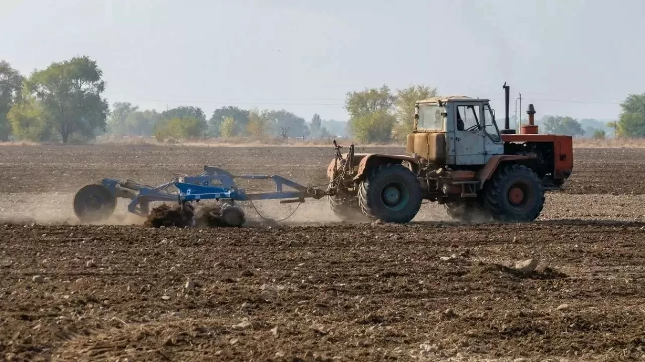 Биыл 23,7 млн гектар жерге егін егіледі