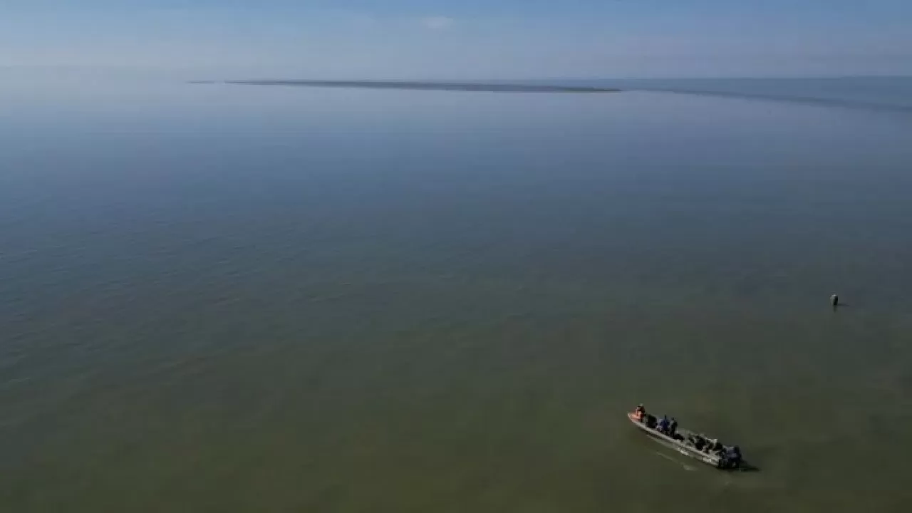 Каспий теңізінің солтүстігінде жаңа арал пайда болды 