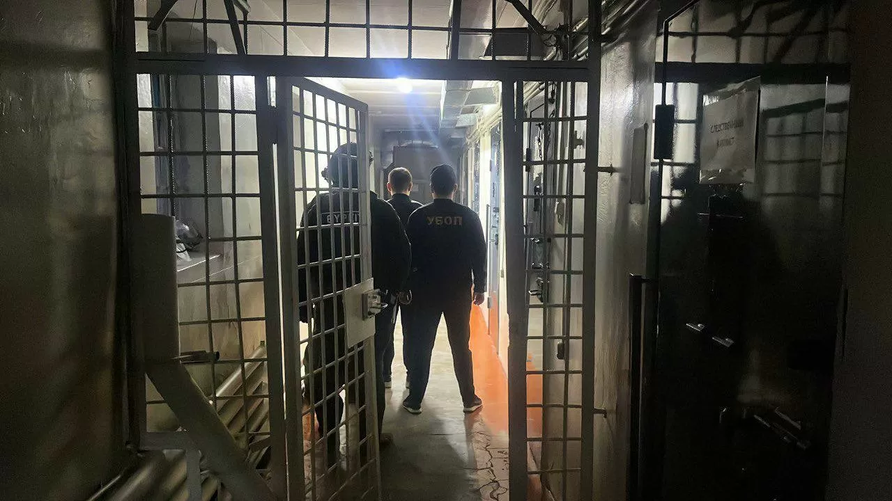 Похитителей сеянцев сосны на полмиллиарда тенге осудили в области Абай 