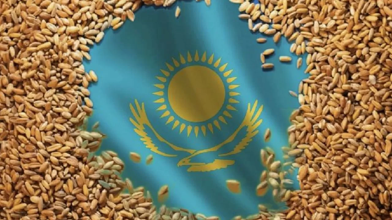 Отандық астықты экспорттау көлемі 58,1%-ға артты