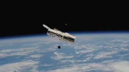Қытай ғарыш станциясынан жаңа бактерия штамы табылды 