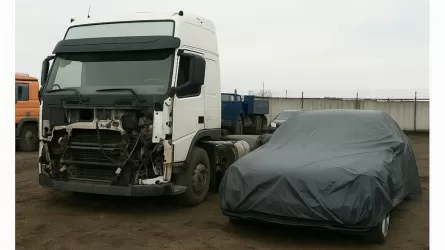 Алматы облысында мемлекет пайдасына тәркіленген мүліктерді тонап кеткен