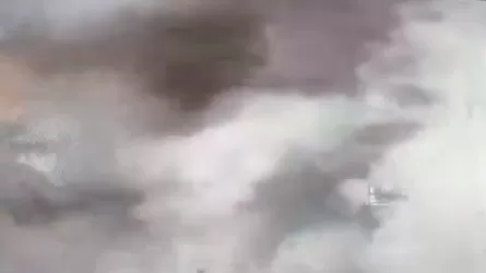 Мощный взрыв на зернохранилище в Алматинской области попал на видео