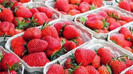 В Астане пройдет праздничная сельскохозяйственная ярмарка  