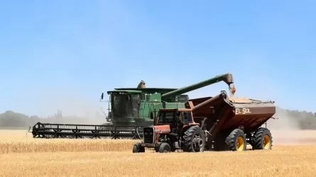 Аграрии Казахстана получили аванс по форварду-2025 