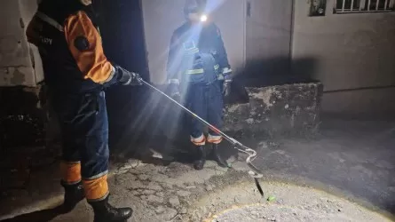 Спасатели поймали змею в доме под Алматы 