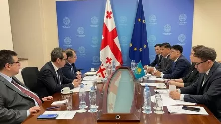 Казахстан обеспокоен отказами гражданам РК во въезде в Грузию
