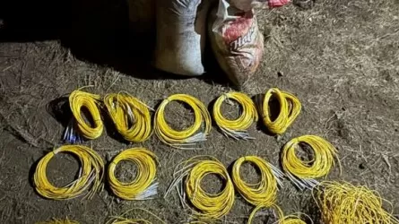 Ақмола облысында бомба жасамақ болғандардың ісі әшкереленді