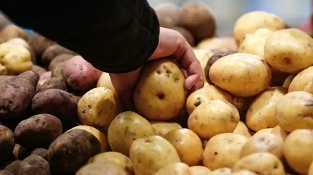 Картоп бағасын өсіргендерге айыппұл салынды