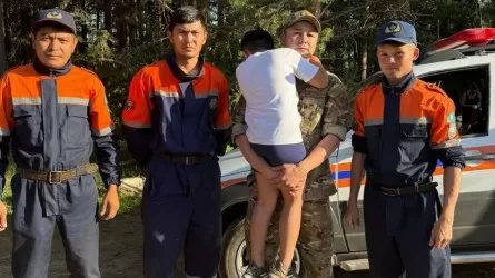 Ребенок заблудился в лесу в Карагандинской области