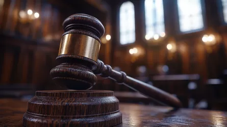 Убивший брата брат в Павлодаре попал за решетку на 8 лет