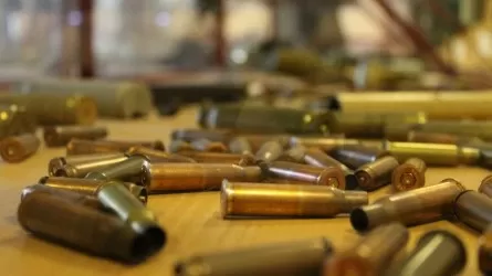 Казахстанка поплатилась за хранение боеприпасов, оставшихся от отца, в области Абай 