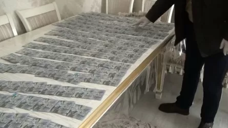 Алматы облысында аудандық білім бөлімінің басшысы мен 7 бухгалтер сотталып кетті