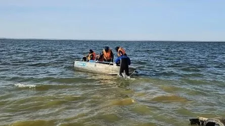 Павлодар облысында балық жаппай қырылып жатыр