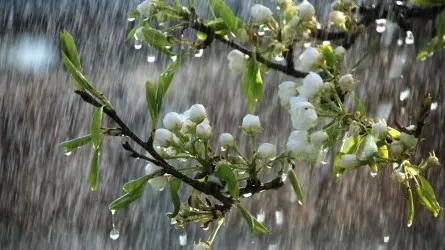 8 мамырда бірнеше өңірде қолайсыз ауа райына байланысты ескерту жарияланды