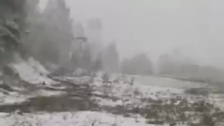 Риддерде қар жауды