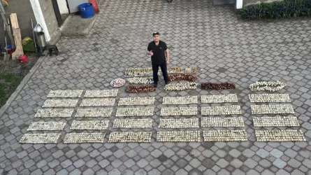 Асық жинаған ақтөбелік Қазақстан рекордтар кітабына енді