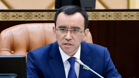 «Нақты саясат керек»: Мәулен Әшімбаев инвестициялық белсенділікті арттыру мәселесі туралы 