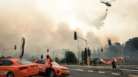 Израильде 2 мың гектар орман алқабы жанып кетті